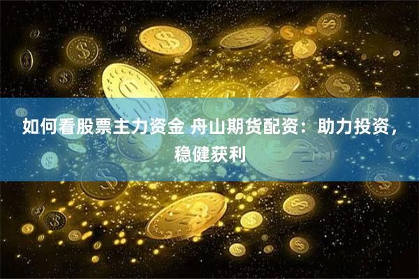 如何看股票主力资金 舟山期货配资：助力投资，稳健获利